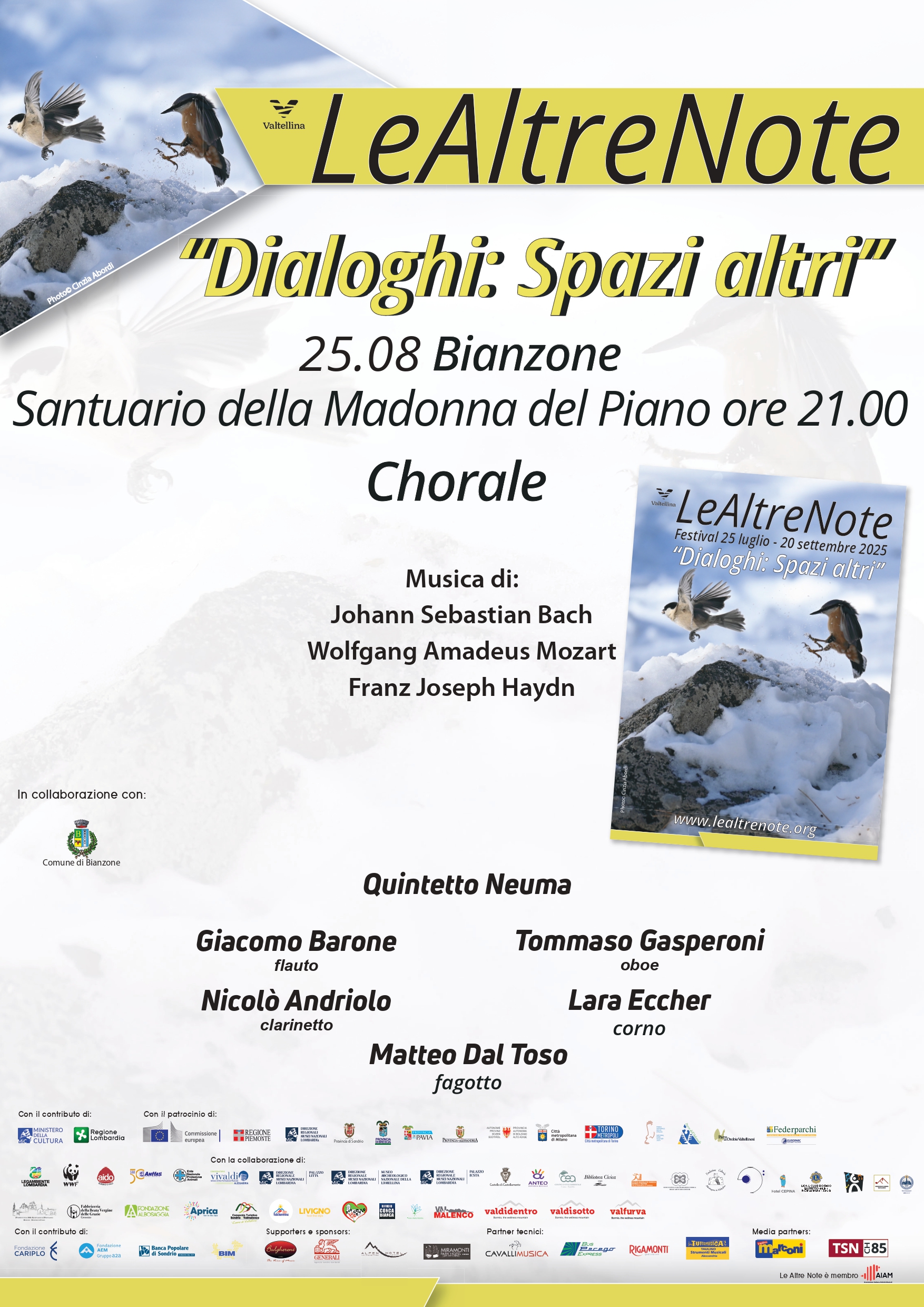 Immagine anteprima