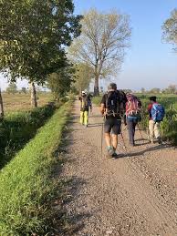 Immagine anteprima