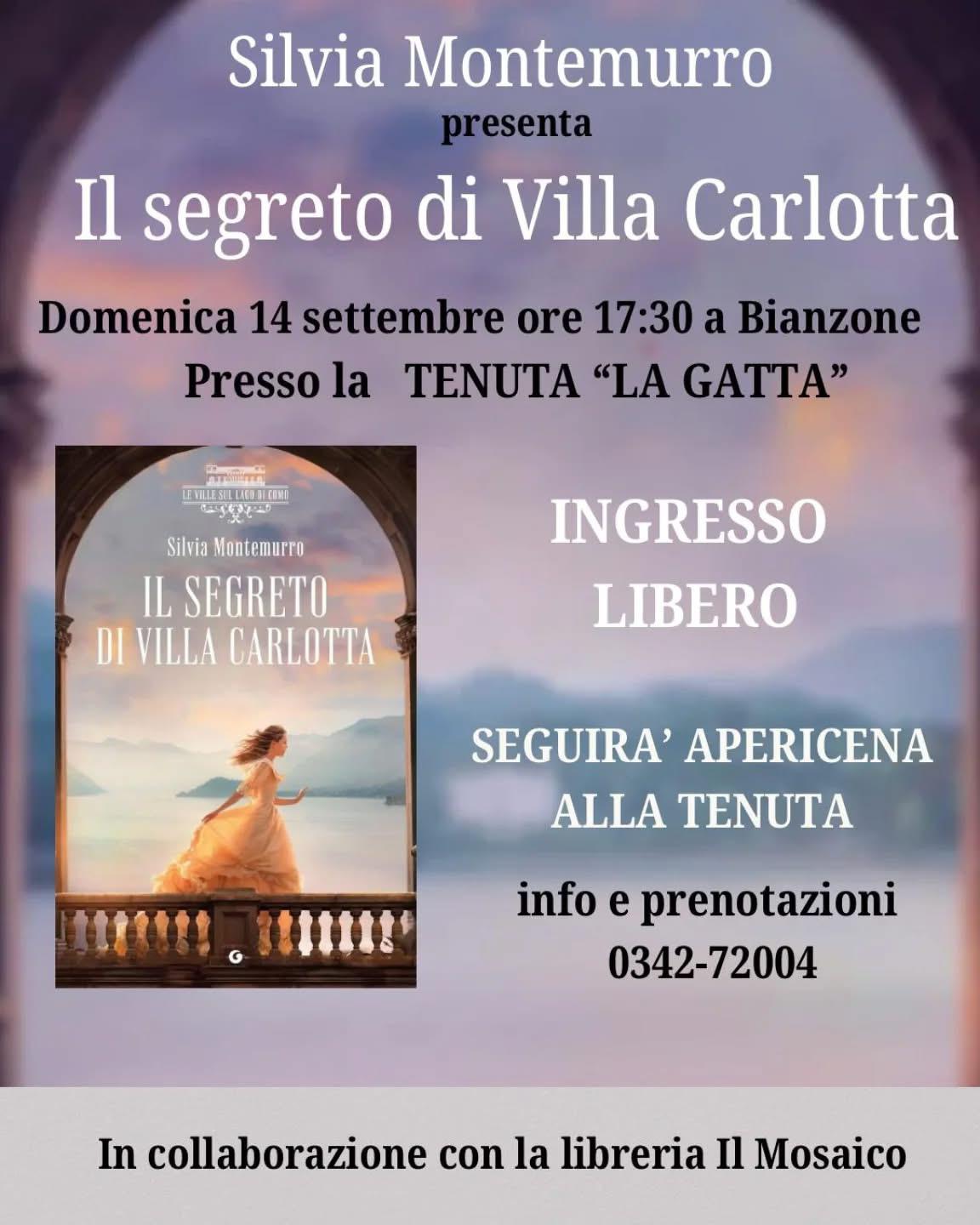 Immagine anteprima