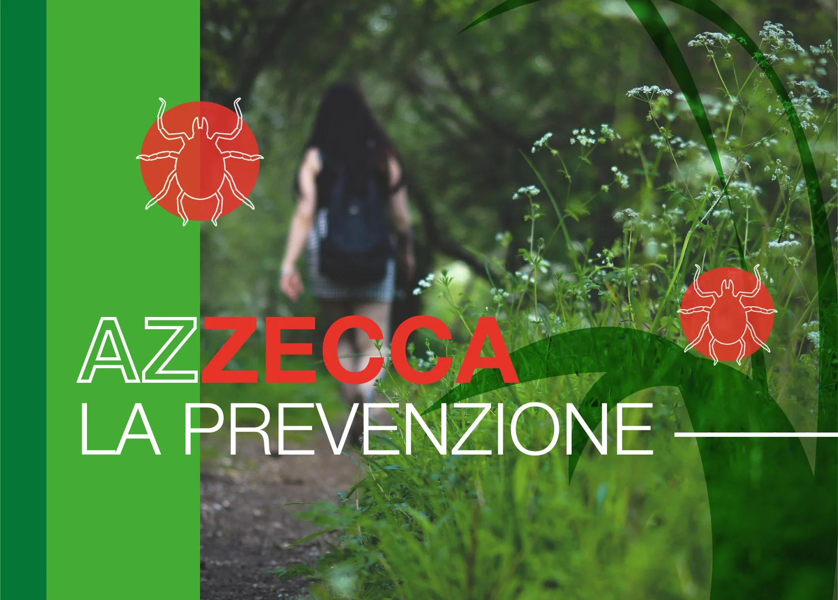 Immagine anteprima